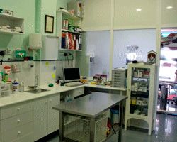 Clínica Veterinaria Los Corrales interior de quirófano